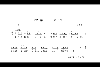 探妹(二) 如皋市