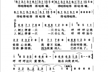 中国名歌乐谱：爱情鸟 张海宁词 张全复曲