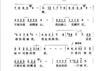 绿叶对根的情意 主健词 谷建芬曲