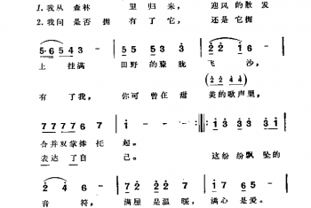 纷纷飘坠的音符 周兴立词曲