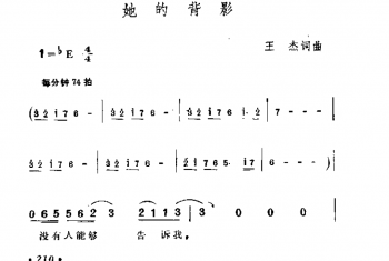 她的背影 王杰词曲