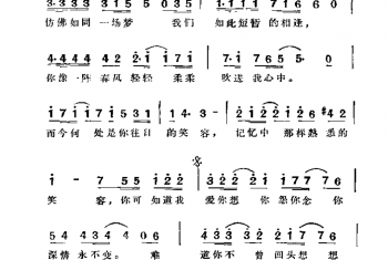 野百合也有春天 罗罗大佑词曲