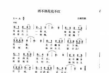 雨不酒花花不红 云南民歌