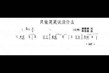 只能笑笑说没什么（台湾）徐致明词 陈容森曲