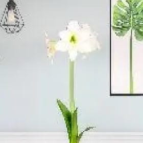 书海沧生的头像