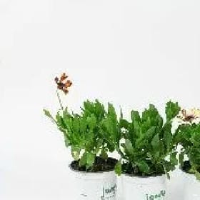 无梦相赠的头像