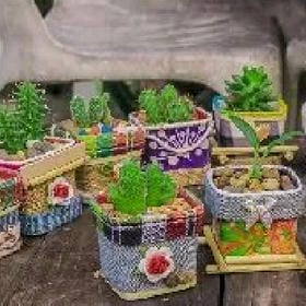 迟茶枯萎的头像