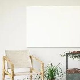 南风与猫的头像