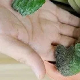 余生情诗的头像