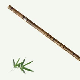 张康宏的头像