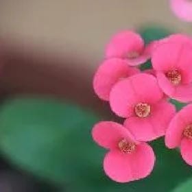 刘莹睿的头像
