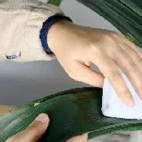 张博茜的头像