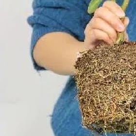 离人不送的头像