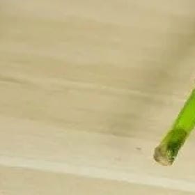 蝶飞的头像