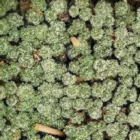 谢凤泰的头像
