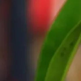 陈政谕的头像