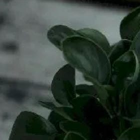 经旭珍的头像